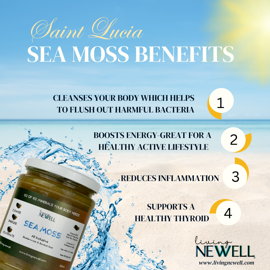 All Inclusive - with Bladderwrack and Burdock Root (500ml)