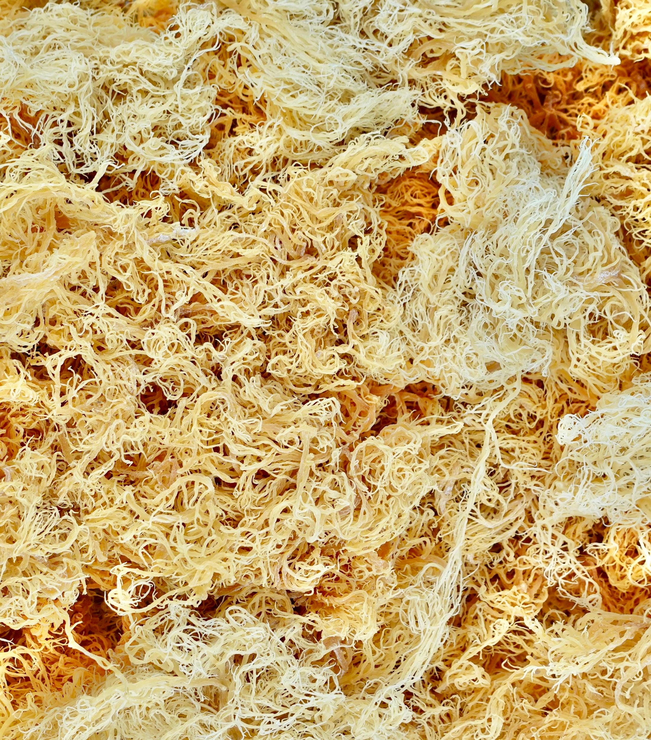Gold Sea Moss Gel (500ml)